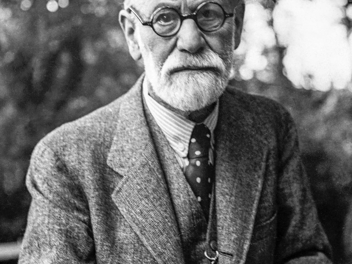 Freud según su&nbsp;epistolario