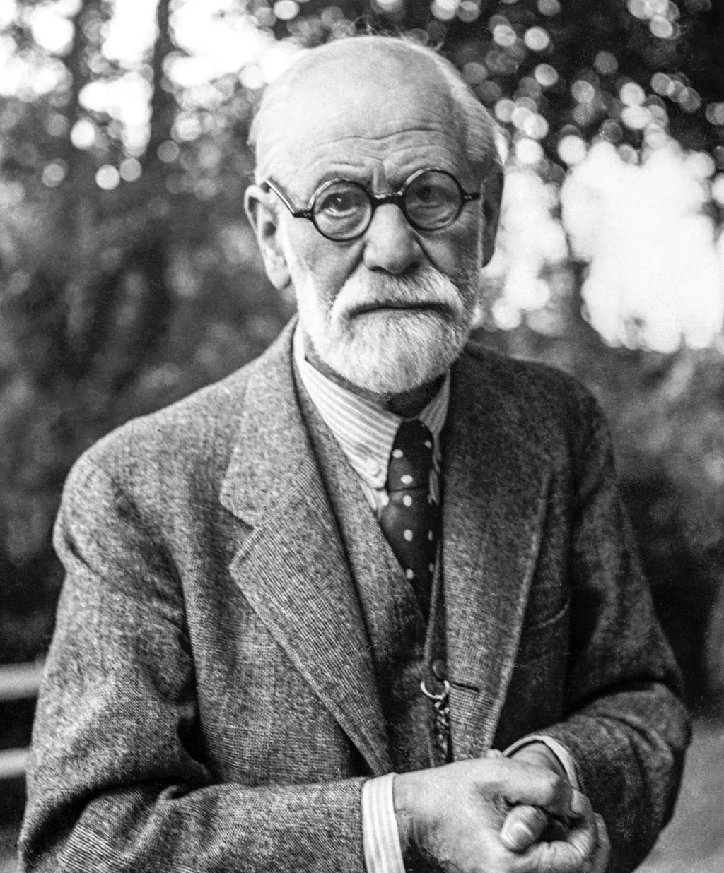 Freud según su&nbsp;epistolario